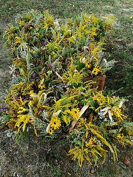 Banner Kräuterbuschenbinden